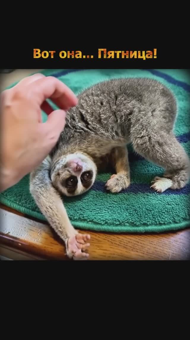 Вот она... Пятница! смотреть онлайн