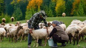 Запекания Целого Ягнёнка с Булгуром в Бочке 🔥