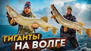 ГИГАНТЫ НА ВОЛГЕ