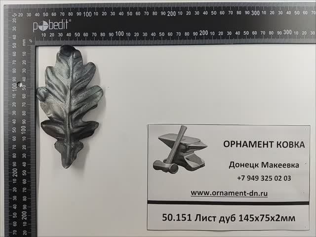 50.151 Лист дуб 145х75х2