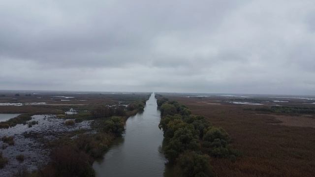 Дикие сазаны кабаны и утки Рыбалка на островах смотреть онлайн