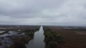 Дикие сазаны кабаны и утки Рыбалка на островах