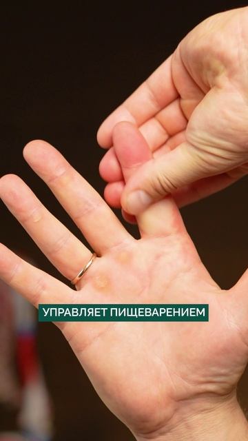 За что отвечает КАЖДЫЙ ПАЛЕЦ? #здоровье #массаж #ладонь смотреть онлайн