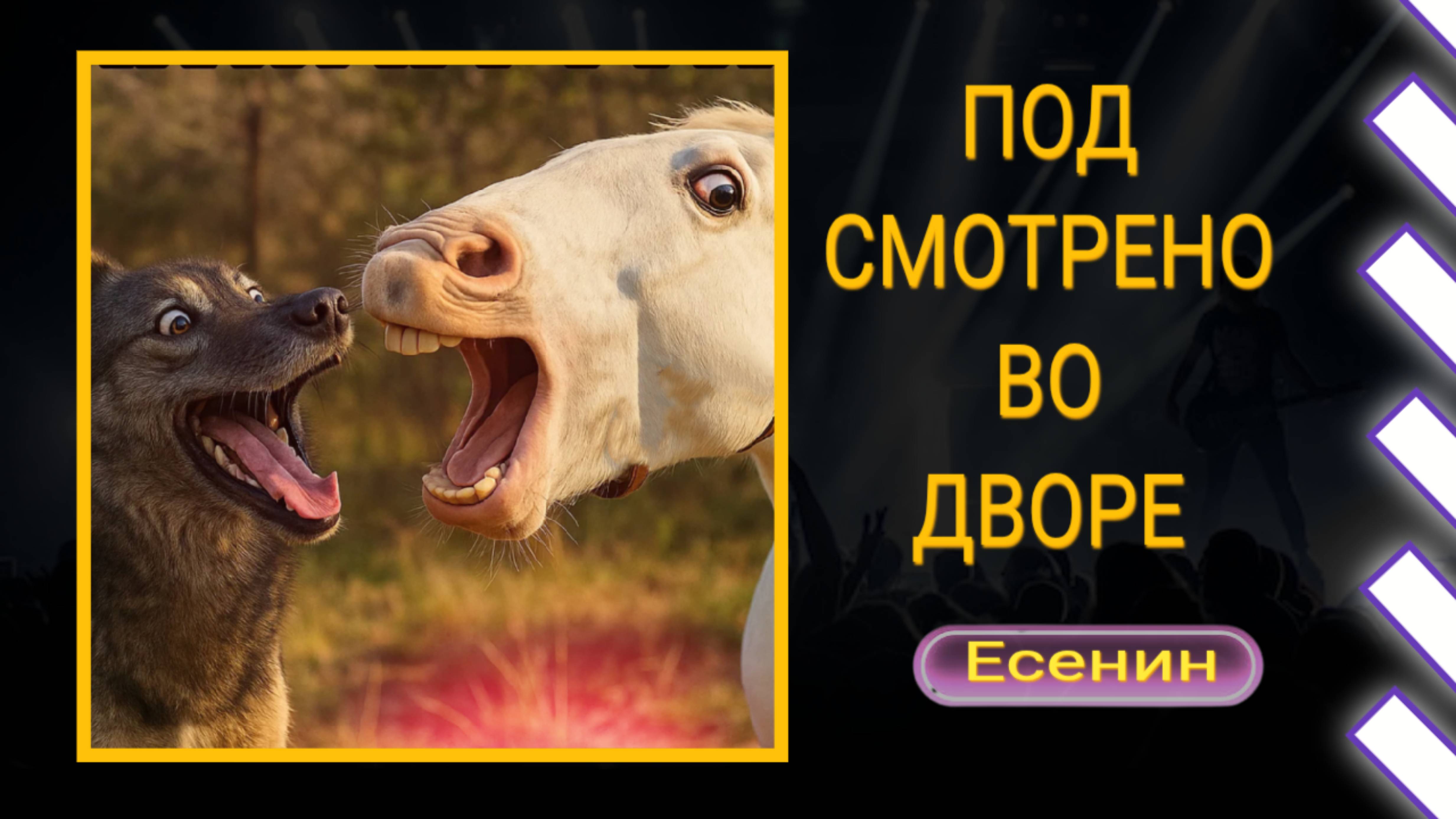 Конь и пёс / Необычная дружба животных / Песня на стихи Есенина