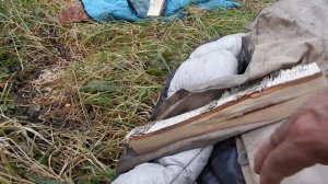 Осенние работы, подготовка к зиме.