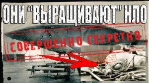 ОНИ "Выращивают" НЛО. Бывший советский ученый раскрыл секреты внеземных летательных аппаратов