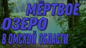 ЖИРУХЕ ПОСВЯЩАЮ. МОЮ ЗРИТЕЛЬНИЦУ ПРЕДУПРЕЖДАЮ❗️❗️❗️❌️❌️❌️