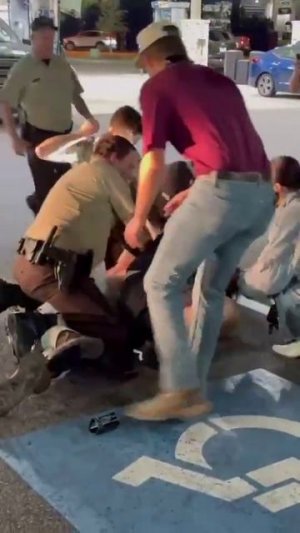 #Вечерние_забивы