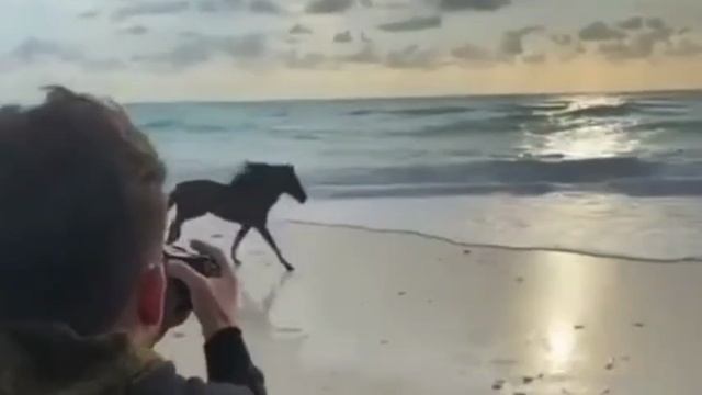 Красивая Азербайджанская песня, At Gara