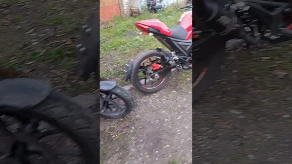 Promax cb150r и не много о монстре