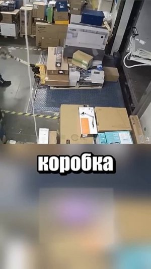 Кому новенький айфон