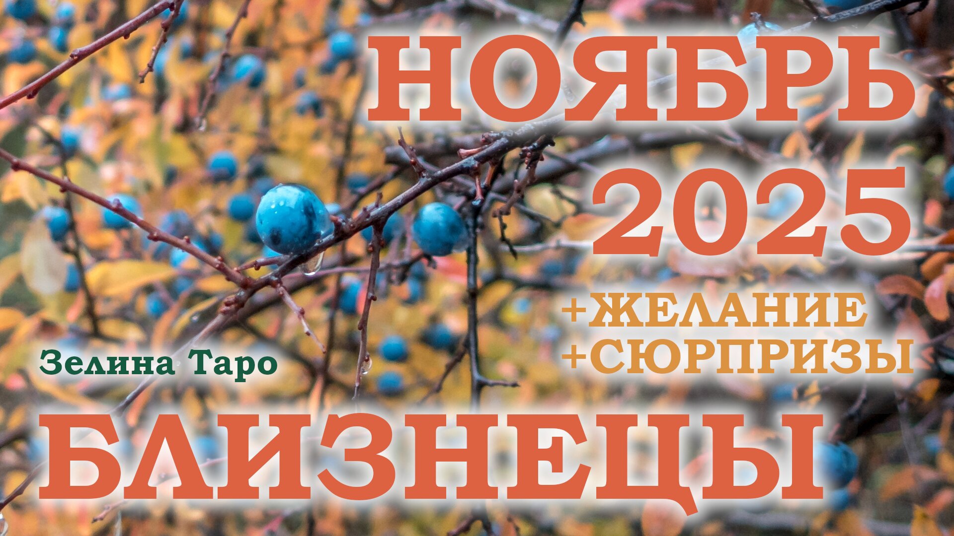БЛИЗНЕЦЫ | ТАРО прогноз на НОЯБРЬ 2025 года | Желание | Сюрпризы | Расклад таро смотреть онлайн