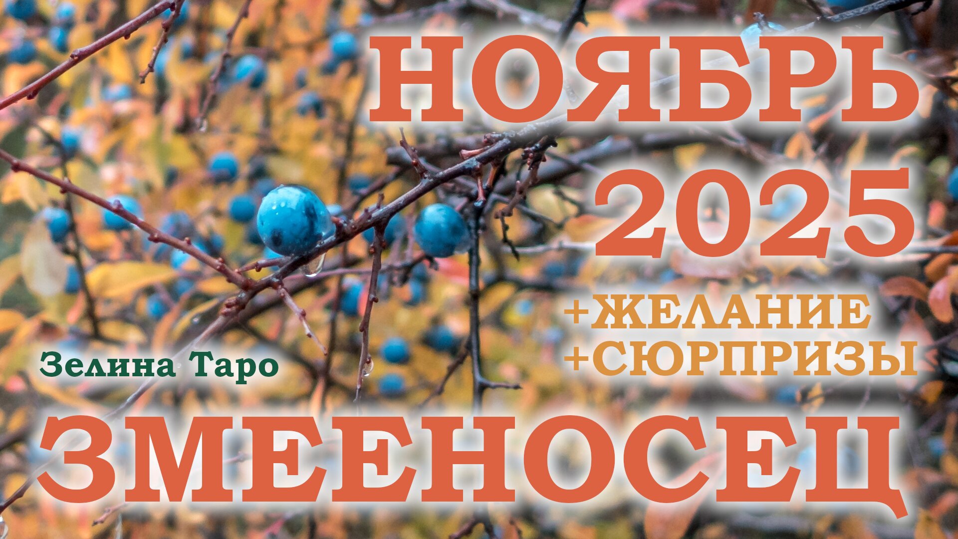 ЗМЕЕНОСЕЦ | ТАРО прогноз на НОЯБРЬ 2025 года | Желание | Сюрпризы | Расклад таро смотреть онлайн