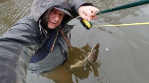 Можно ли забросить большой щучий стример свитчём 5 класса от Kola Salmon ? Оказывается можно...