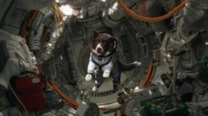 Космическая собака Лида