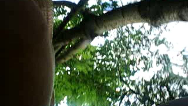 ЛЕТНИЙ АВГУСТОВСКИЙ УЛИЧНЫЙ МИНИ-БЛОГ №1511 БАРАБАННЫЕ ПАЛОЧКИ ДО ПАДИКА... смотреть онлайн