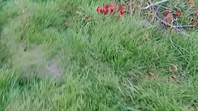 1000000128.mp4 смотреть онлайн