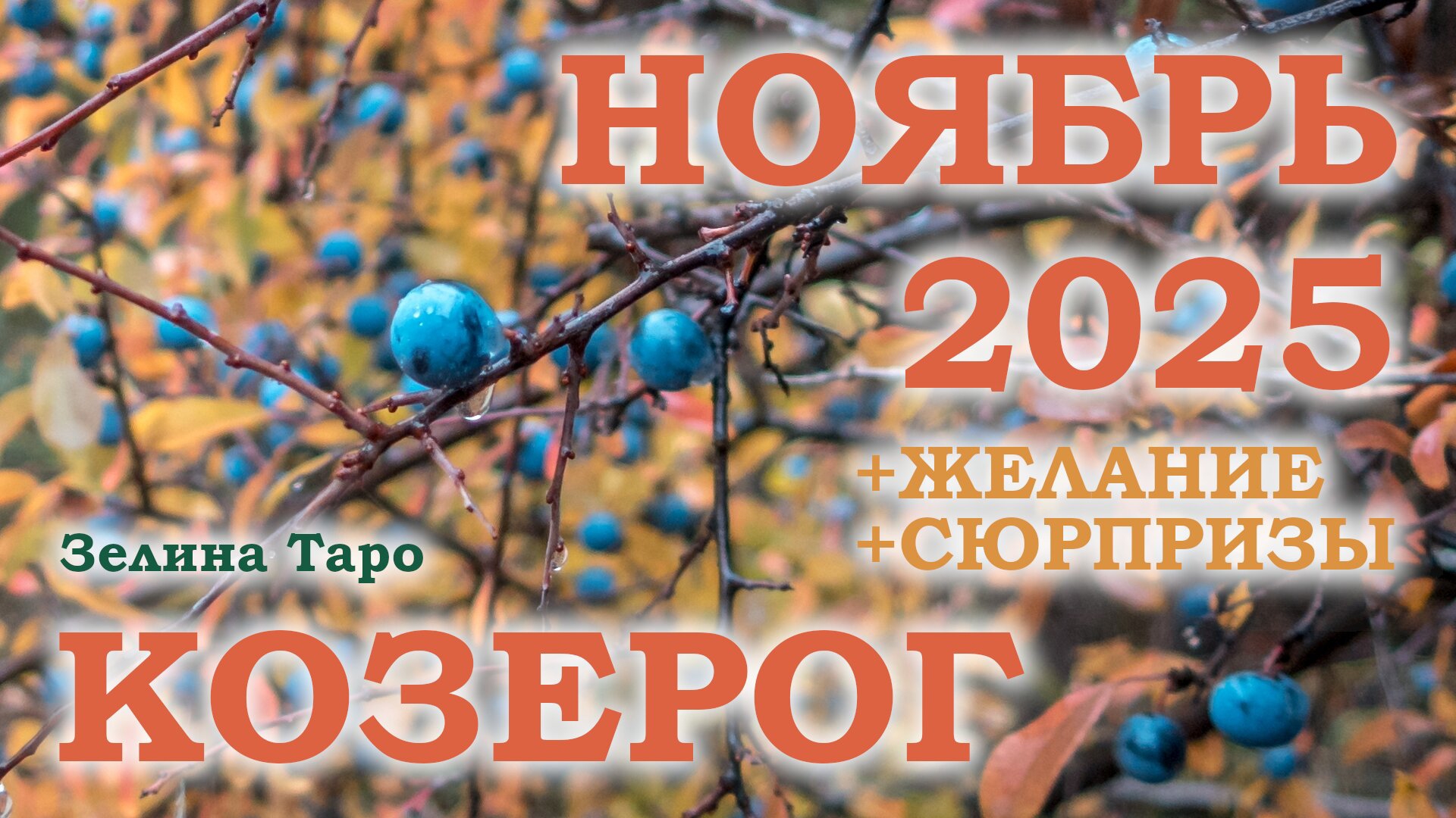 КОЗЕРОГ | ТАРО прогноз на НОЯБРЬ 2025 года | Желание | Сюрпризы | Расклад таро смотреть онлайн