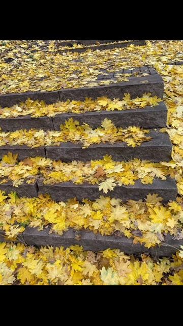 Осеннее настроение