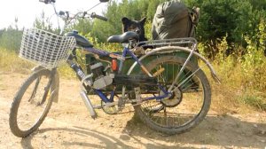 На рыбалку с Жулей Второй день