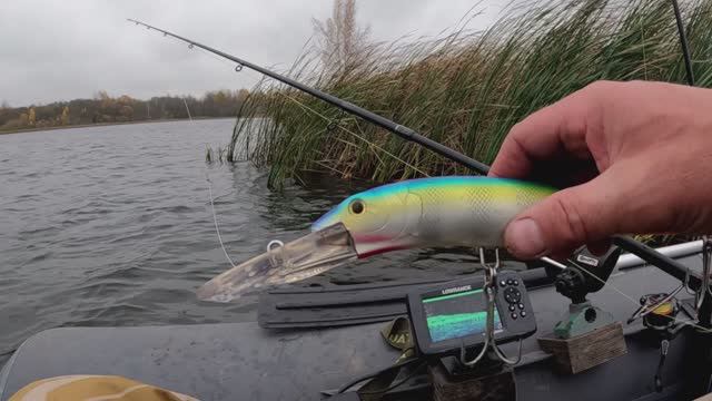 Осень 2025! (11) - "А когда на море качка и бушует ураган..."!