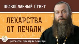 Лекарства от печали.  Протоиерей Димитрий Беженарь