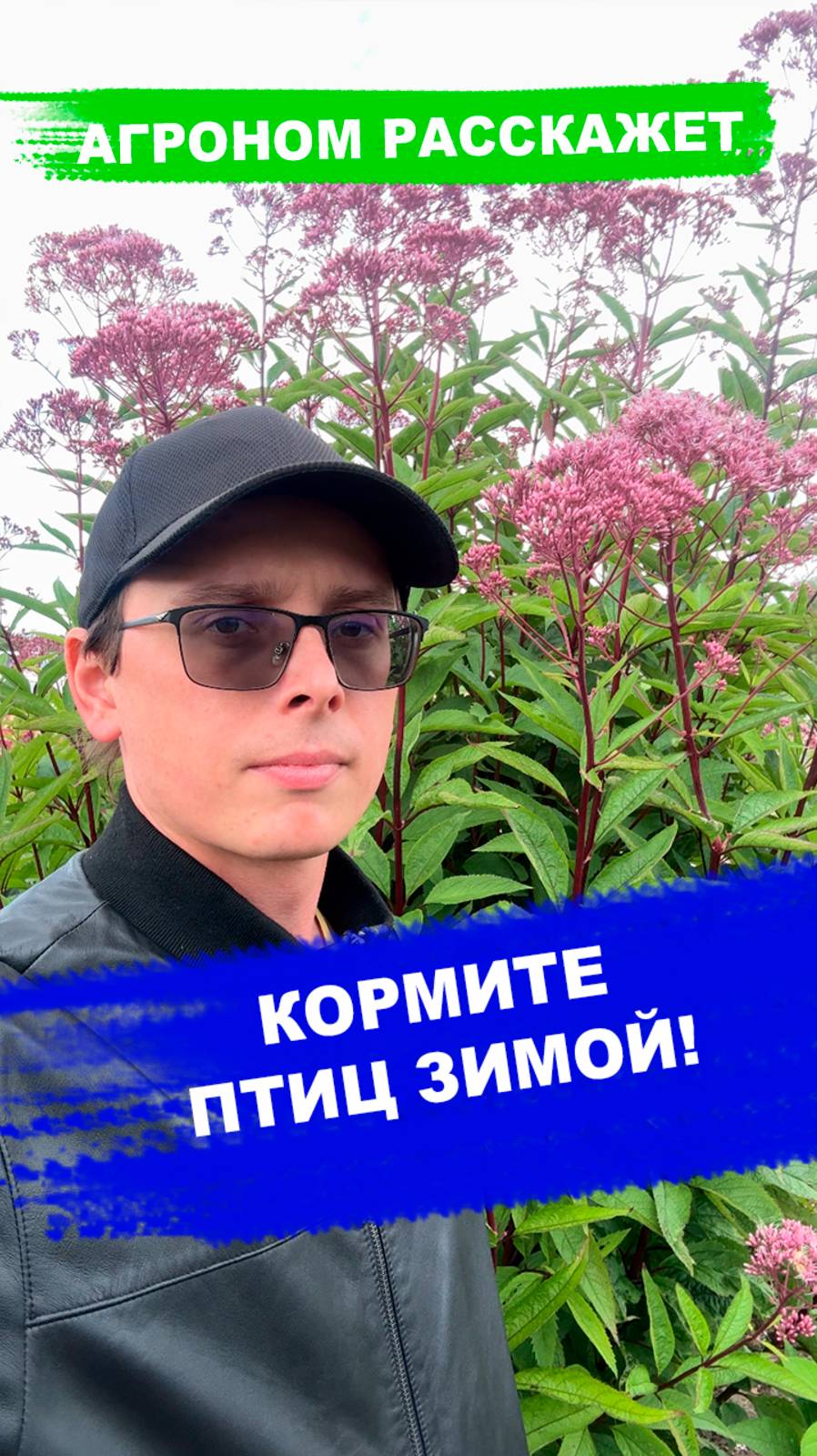 Кормите птиц! смотреть онлайн