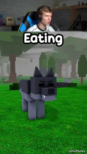 Один День из Жизни Волка в Roblox 🐺🌲 (99 Ночей в Лесу) #shorts #шортс #roblox #роблокс #прикол #ме