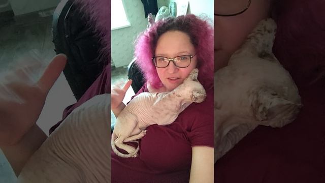 Субботнее утро с кошкой. Грустные мыслей. Погибающие озёра смотреть онлайн