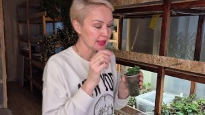 КАЛИБРАХОА.КАК СОДЕРЖАТЬ В ЗИМНИЙ ПЕРИОД КАЛИБРАХОА.