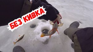 Безмотылка без кивка на клёвой лунке - активный окунь