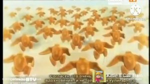 Приключения Крота и Малыша 3 сезон 4 серия