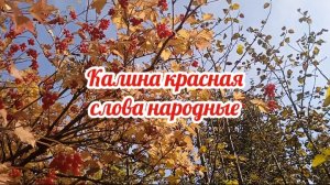 Калина красная (слова народные)