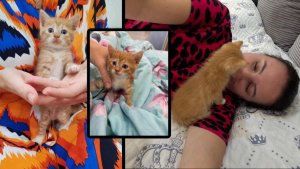 В НАШЕЙ СЕМЬЕ ПОПОЛНЕНИЕ / Как назвали? Откуда приехал?