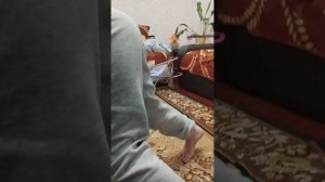 Пробую стойку на руках часть 7