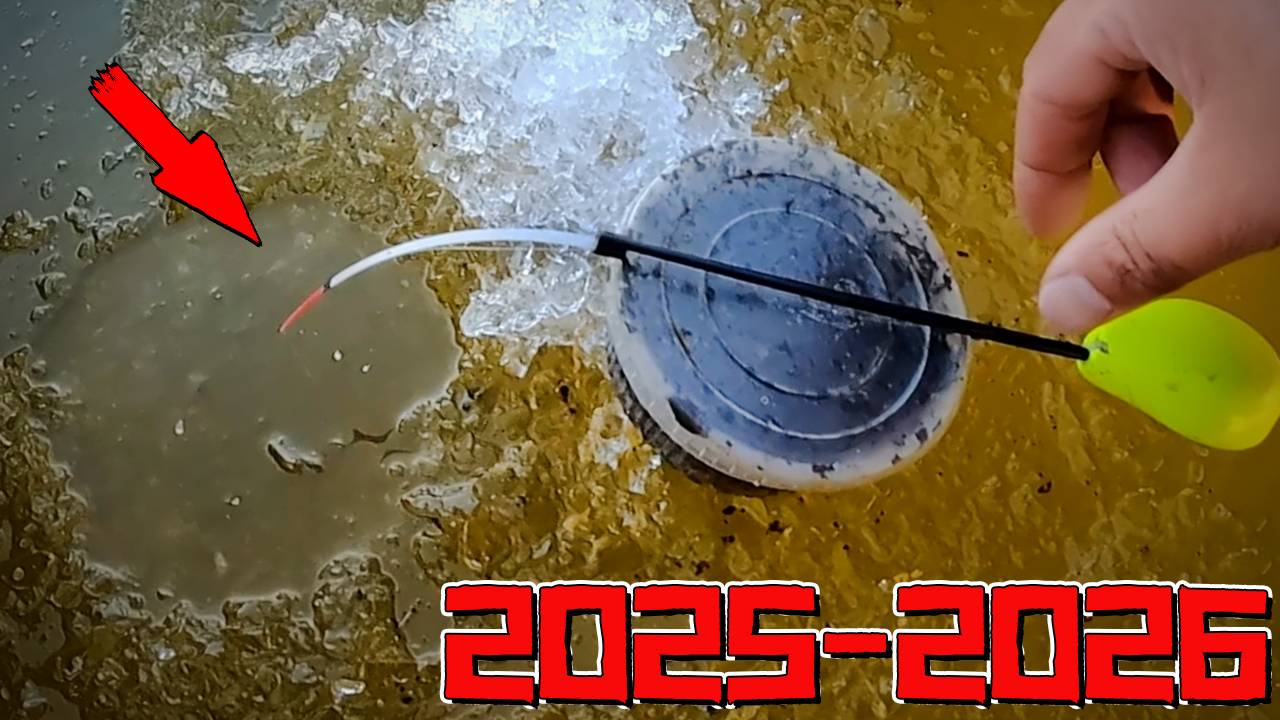 ПЕРВЫЙ ЛЁД 2025-2026 УДИВИЛ! Поехали На ХИЩНИКА Но Вышли ОНИ! Зимняя рыбалка ОТКРЫТА! смотреть онлайн