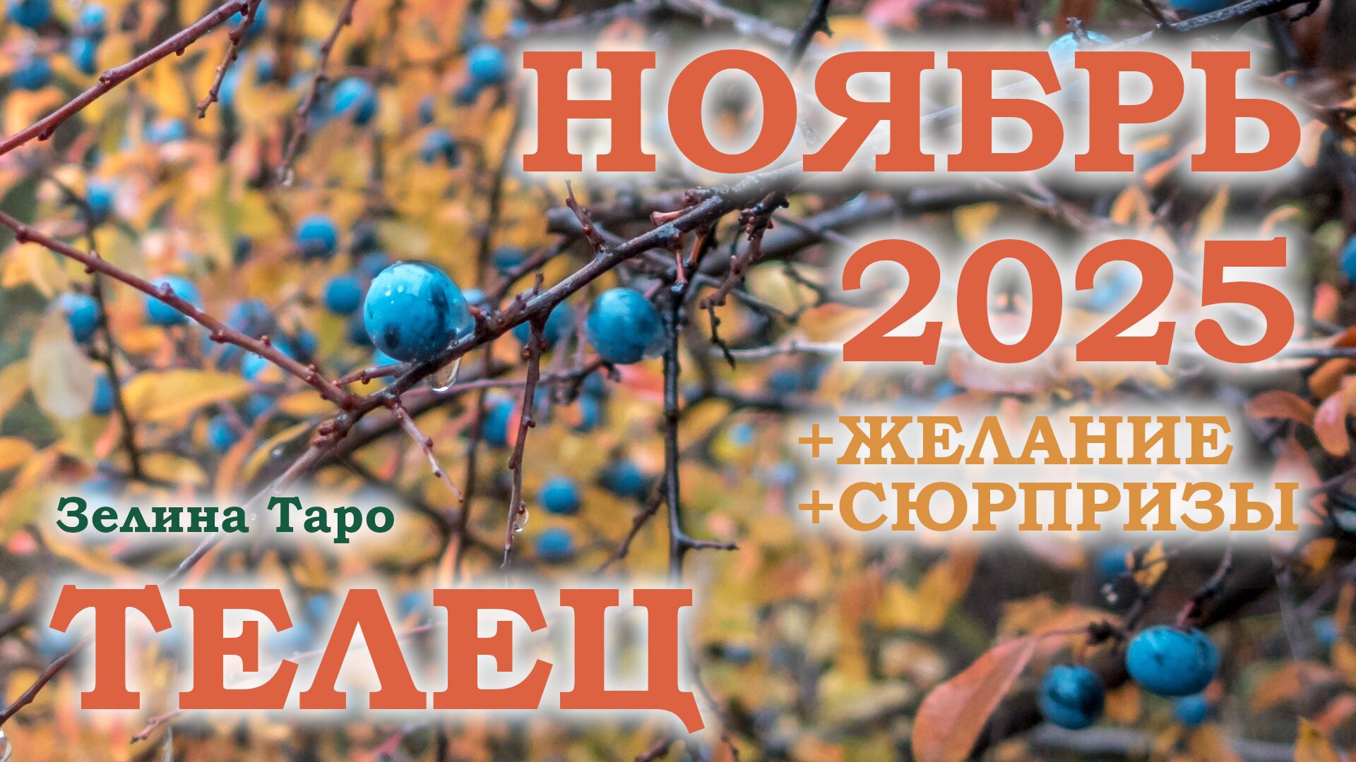 ТЕЛЕЦ | ТАРО прогноз на НОЯБРЬ 2025 года | Желание | Сюрпризы | Расклад таро смотреть онлайн