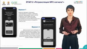 22.2. Культура безопасных финансов: статистика и реальные кейсы – Шеина А.