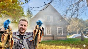 Дом в лесу оживает: утепление окна и аромат копчёных карпов #хочувдеревню #хутор
