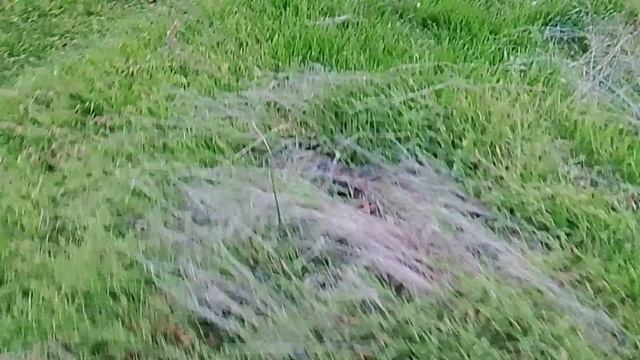 1000000131.mp4 смотреть онлайн