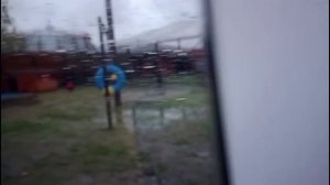 Шархан. В Минском зоопарке дождь и слякоть 25.10.2025 Видео от Ивана