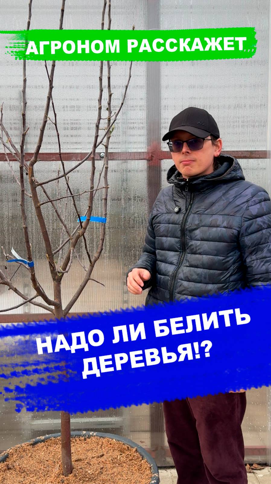 Надо ли белить деревья? смотреть онлайн