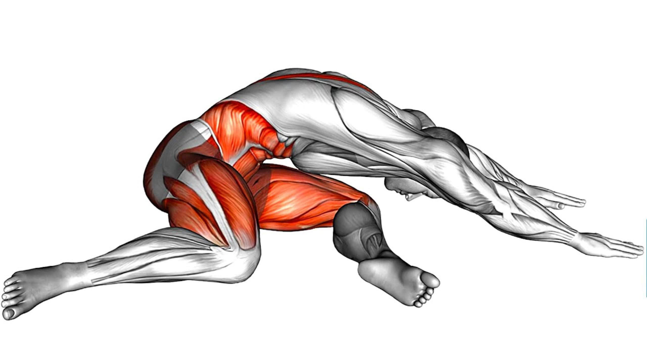 Pelvic Floor Exercises for Anyone and Everyone improve blood circulation [get-save.com] смотреть онлайн