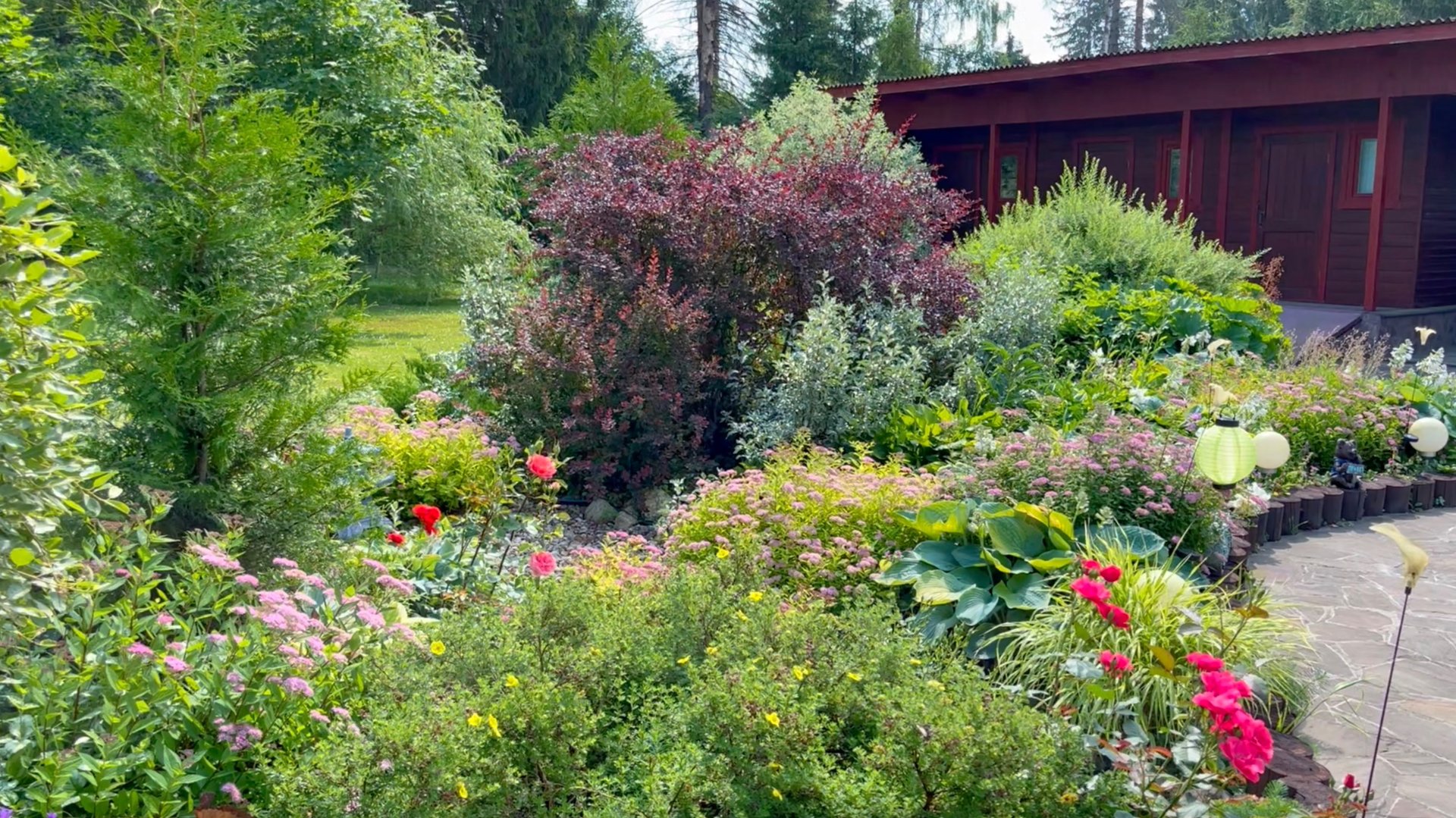 Садовые разочарования. Возможные причины отказа от садовых растений. смотреть онлайн