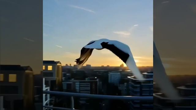 в память о погибших земляках .Нижнекамск смотреть онлайн