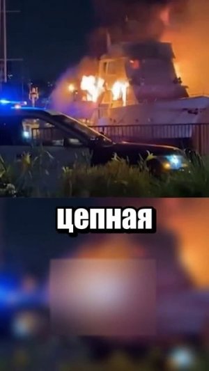 Когда на вечеринке всё пошло не так