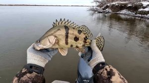 Я ловлю эту рыбу по особенному!