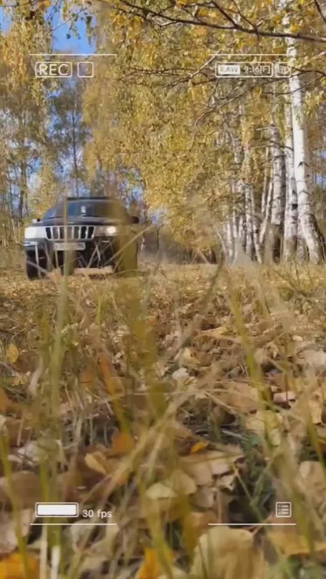 Осенний вайб смотреть онлайн