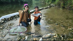 Ловим рыбу для продажи на рынке. Ведем свое хозяйство. Жизнь во Вьетнаме