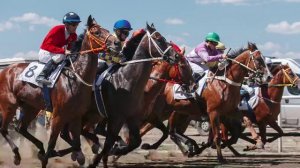 10885919025996_9283367471692_pqxp7x2yti